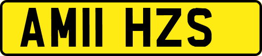 AM11HZS