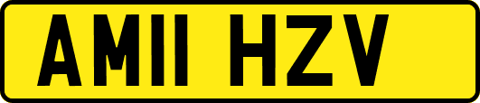 AM11HZV