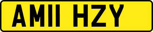 AM11HZY