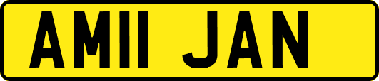 AM11JAN
