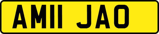 AM11JAO