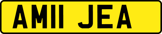 AM11JEA