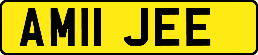AM11JEE