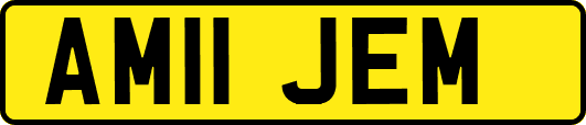 AM11JEM