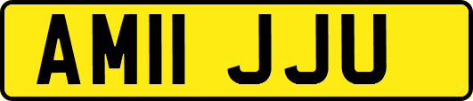 AM11JJU