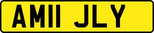 AM11JLY