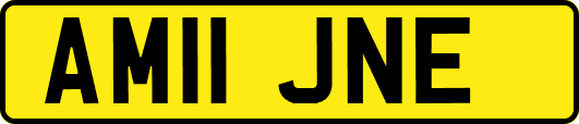 AM11JNE