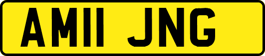 AM11JNG