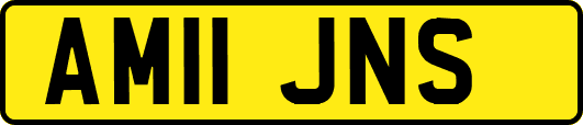 AM11JNS
