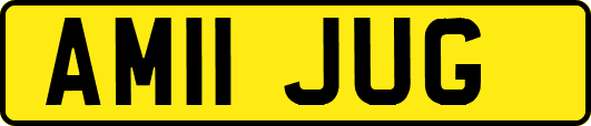 AM11JUG