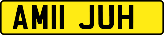 AM11JUH