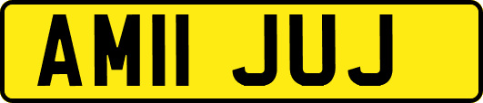AM11JUJ