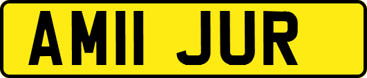 AM11JUR