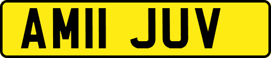 AM11JUV