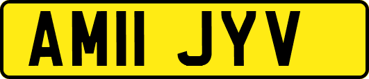 AM11JYV