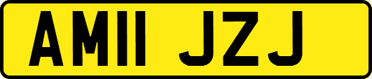AM11JZJ