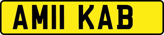 AM11KAB
