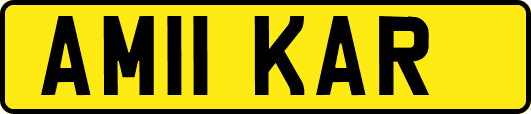 AM11KAR
