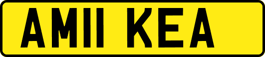 AM11KEA