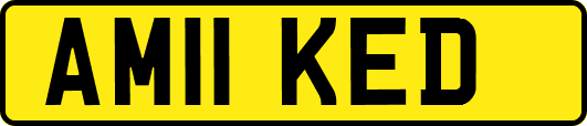 AM11KED