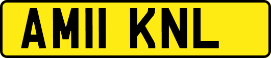 AM11KNL