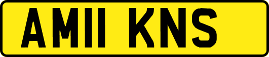 AM11KNS
