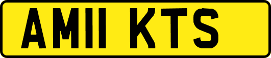 AM11KTS