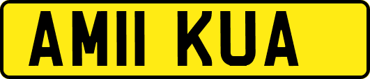 AM11KUA