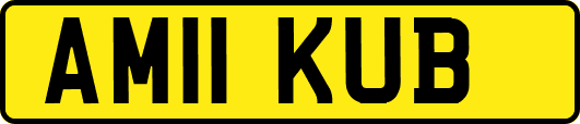 AM11KUB