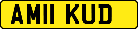 AM11KUD