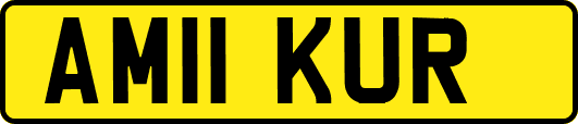 AM11KUR