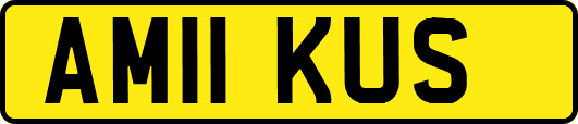 AM11KUS