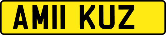 AM11KUZ