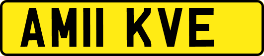 AM11KVE