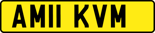 AM11KVM