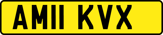 AM11KVX