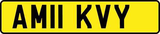 AM11KVY