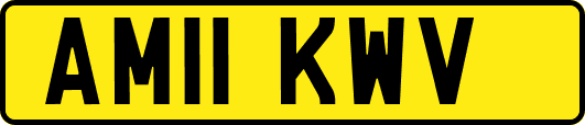 AM11KWV