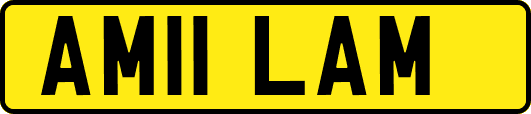 AM11LAM