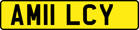 AM11LCY
