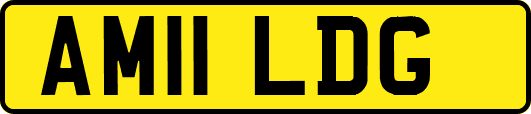 AM11LDG