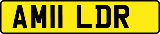AM11LDR