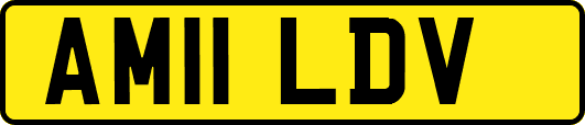 AM11LDV
