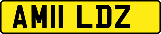 AM11LDZ