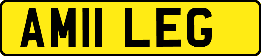 AM11LEG