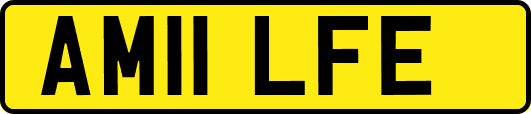 AM11LFE