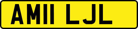 AM11LJL