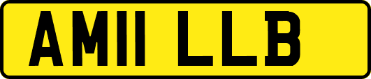 AM11LLB