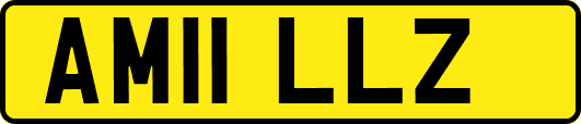 AM11LLZ