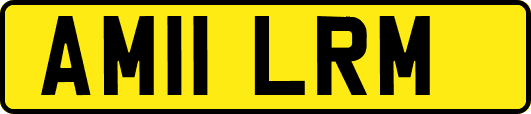 AM11LRM